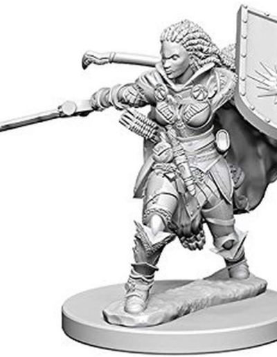 Paladin #2